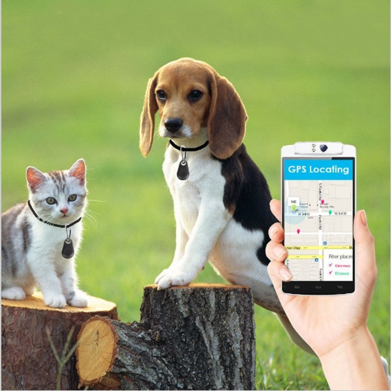 Taggally tag finder